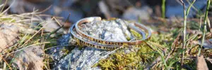 Daniel Sword Cancer - Bild 2